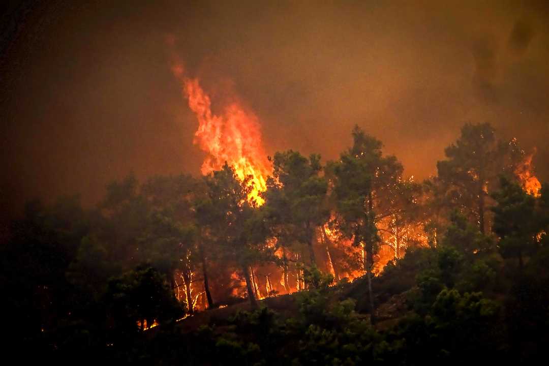 Черногория в огне: актуальная информация о лесных пожарах и путешествиях в стране