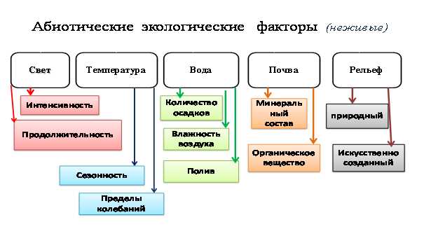 Экологические факторы и их влияние на развитие туризма: ключевые аспекты