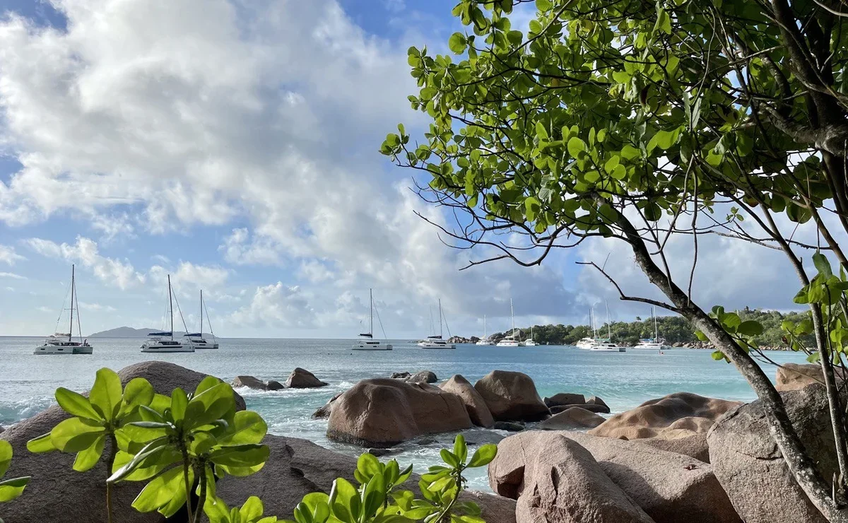 Горящие туры на Сейшелы: выгодные предложения от ведущих туроператоров