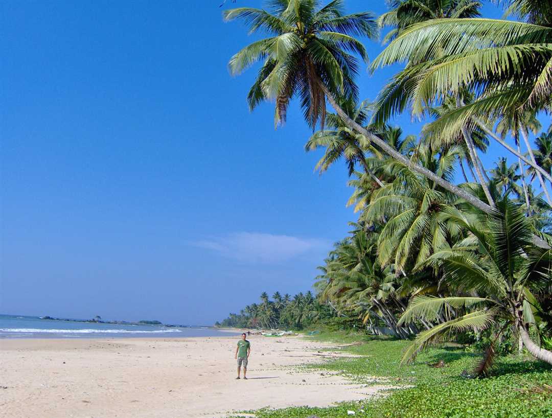Развлечения на тропическом острове Шри-Ланка