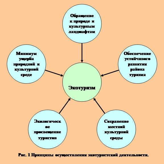 Экологический туризм как фактор устойчивого развития территорий