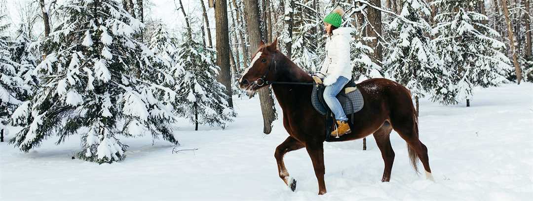 Возможности конного туризма в России