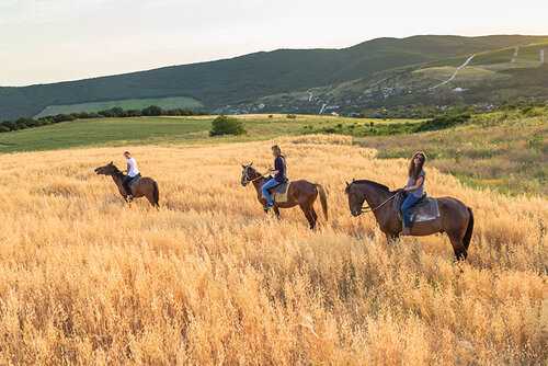 Социально-рекреационные возможности конного туризма