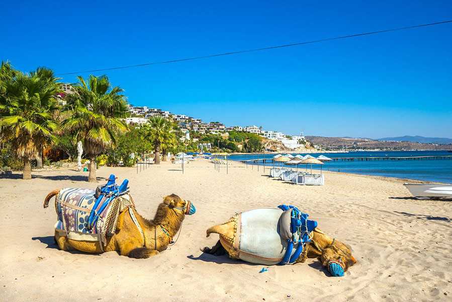 Лучшие пляжи Турции: туристический маршрут по песчаным берегам