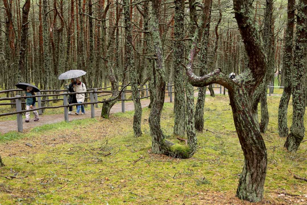 Экскурсионные маршруты Браславского района