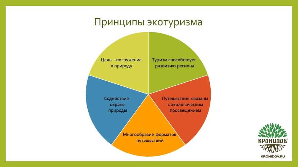 Основные направления развития туризма в России