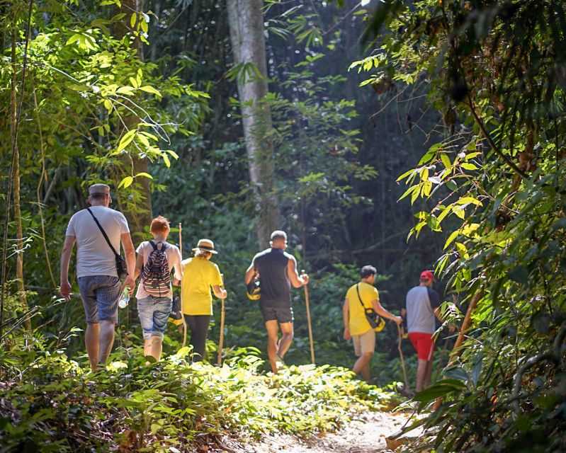 Лесной туризм как стратегия устойчивого развития