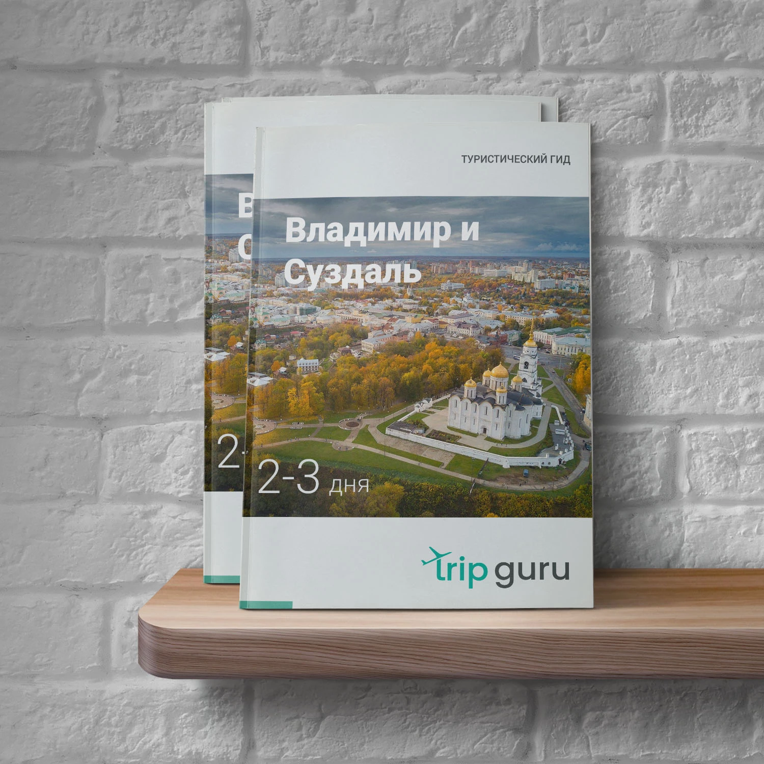 Однодневные туры по городу: отдых на море или поход по горам?