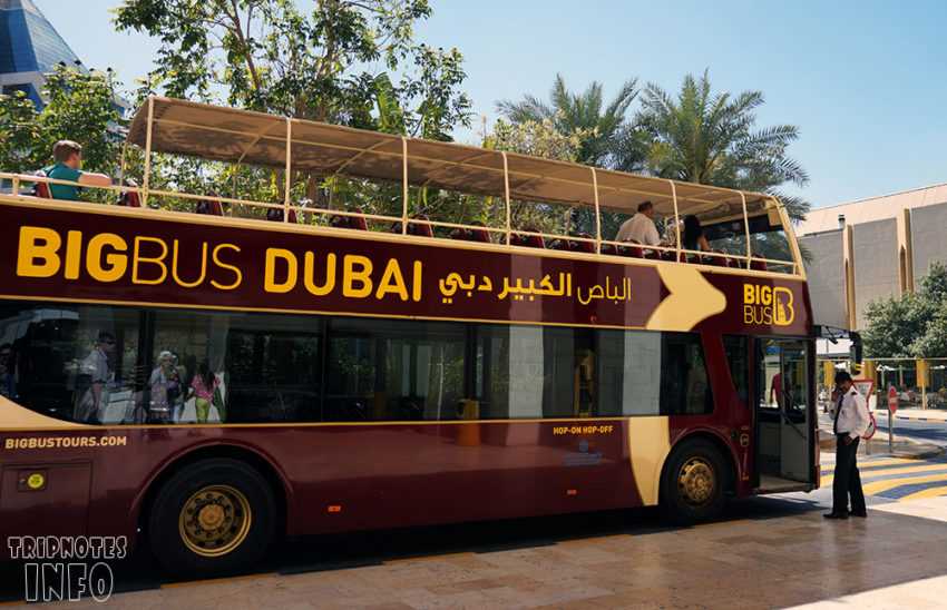 Путеводитель по маршрутам туристических автобусов в Дубае: кругосветное приключение