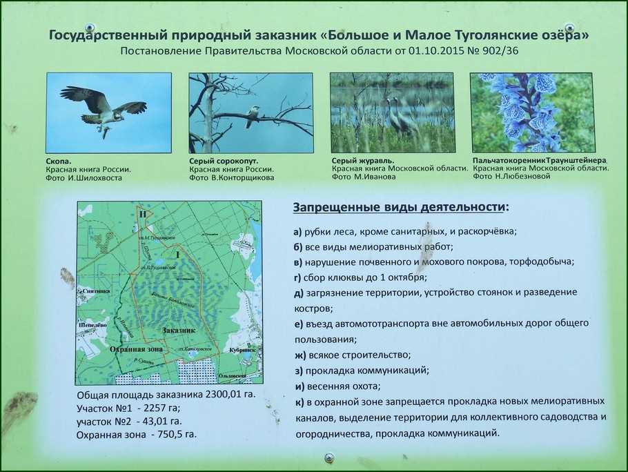 Инвестиции в развитие туризма с учетом природы