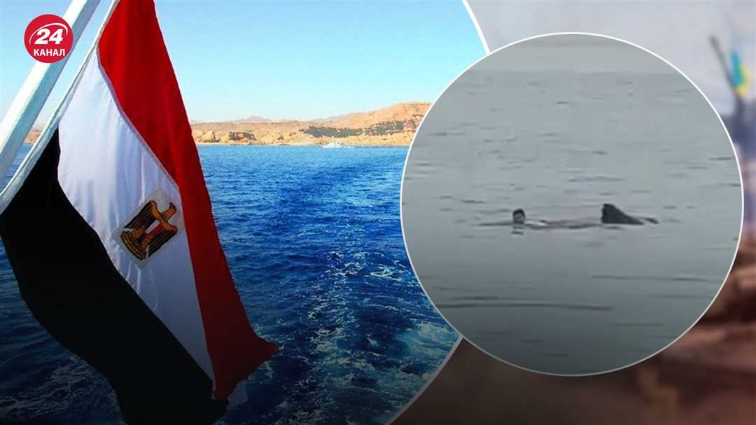 Туриста поглотила акула: горькая трагедия в Египте